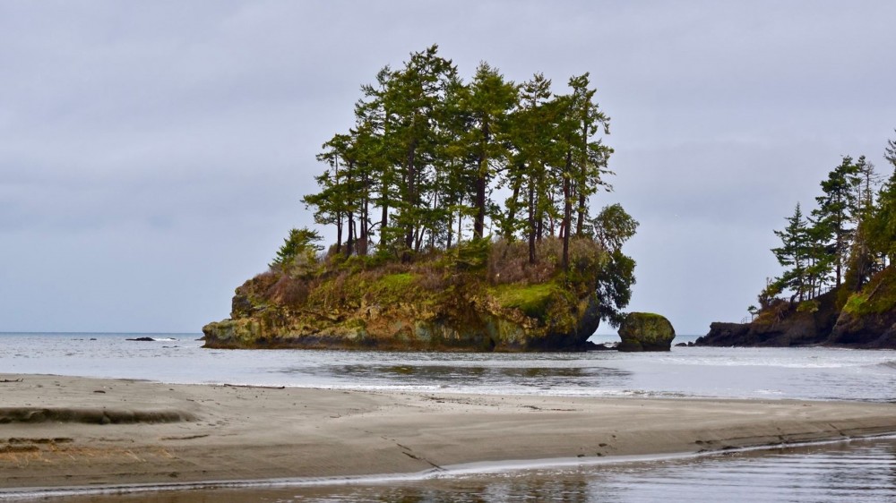 Olympic National Park Tour from Seattle