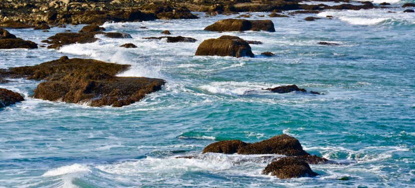 Olympic National Park Tour from Seattle