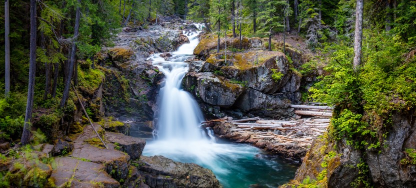Mt. Rainier Day Tour