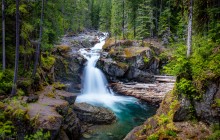 Mt. Rainier Day Tour