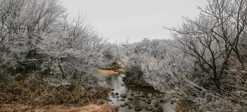Jeju Small Group UNESCO Day Tour - South Course