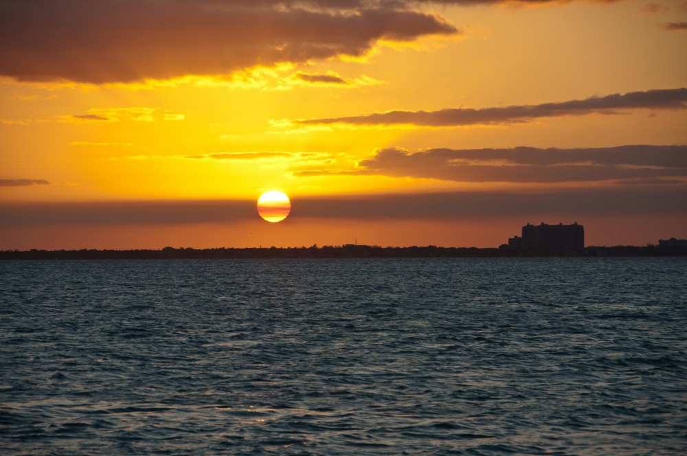 Miami Aqua Tours