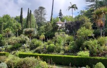 Pearl of the Atlantic6