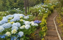 Pearl of the Atlantic2