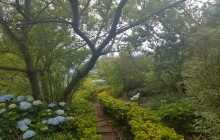 Pearl of the Atlantic3