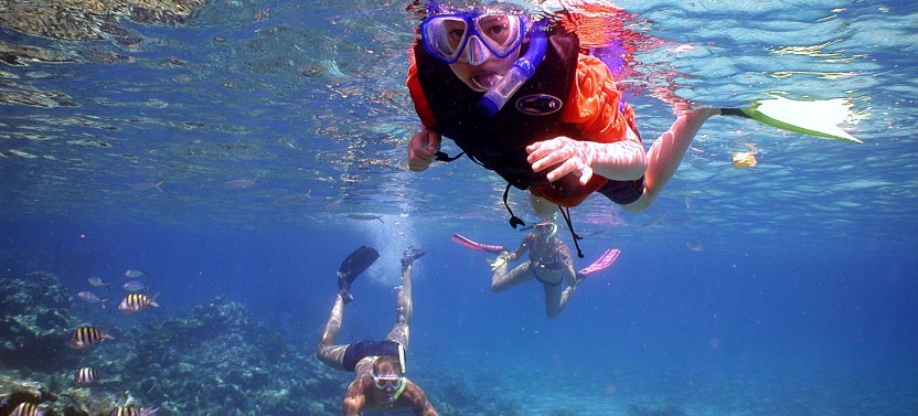 Dolphin Watching & Snorkeling