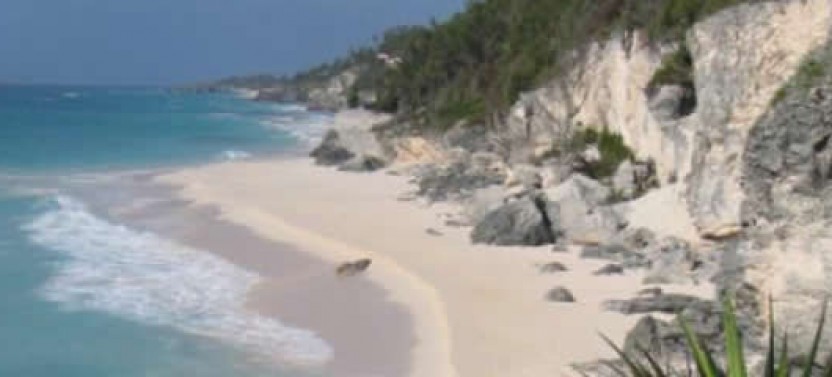 Private Shore Excursion: Complete Bermuda Sightseeing Tour from Hamilton