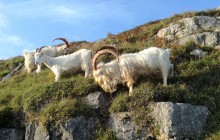 Adventure Tour Snowdonia2