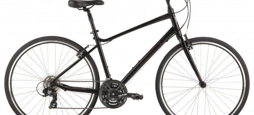 Hybrid Comfort Bike Rental