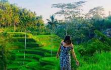 Your Bali Trekking Tour11