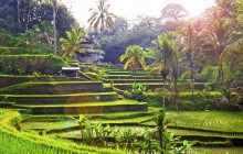 Your Bali Trekking Tour4