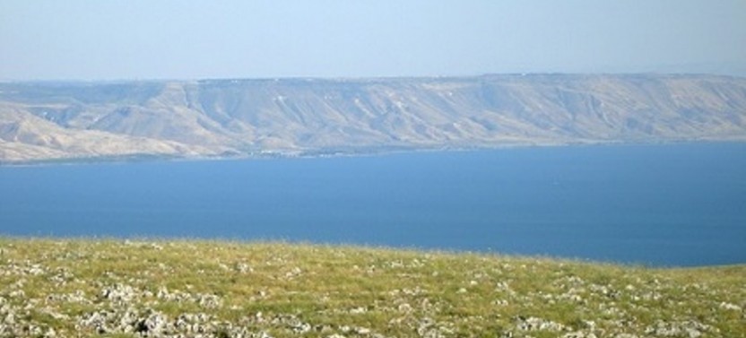 Dead Sea Relaxation Day from Tel Aviv