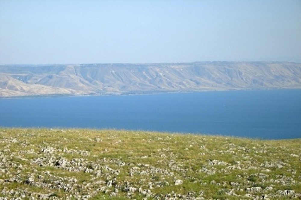 Dead Sea Relaxation Day from Tel Aviv