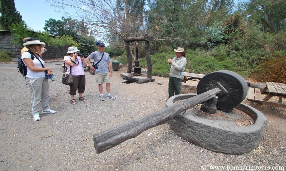 Golan Heights Tour From Tel Aviv