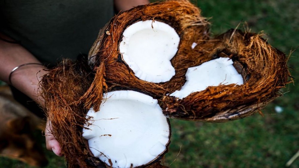 Bali: Coconut Oil Making Class & Cooking Lesson