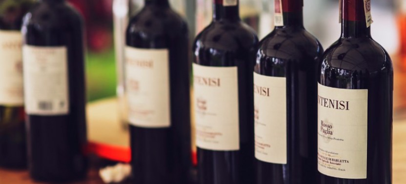 Full Day North Georgia Wine Country Tour From Atlanta