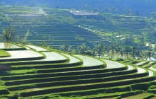 Your Bali Trekking Tour1