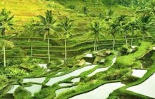 Your Bali Trekking Tour16