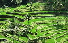 Your Bali Trekking Tour