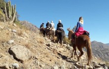 Andes Mountains Horseback Ride and Wine Tour & Tasting