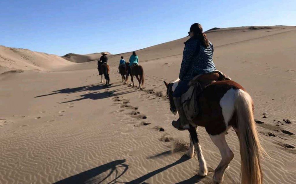 Pacific Horse Ride on Beach & Sand Dunes + Viña del Mar City - Santiago ...