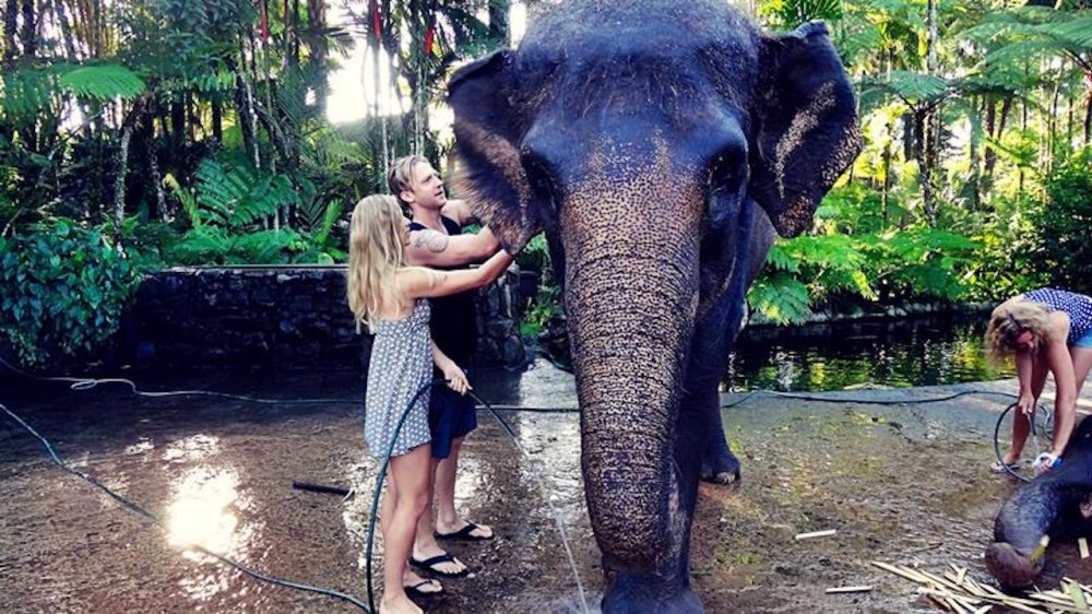 Bali Elephants Bath & Ubud Tour With Breakfast - Ubud | Project Expedition