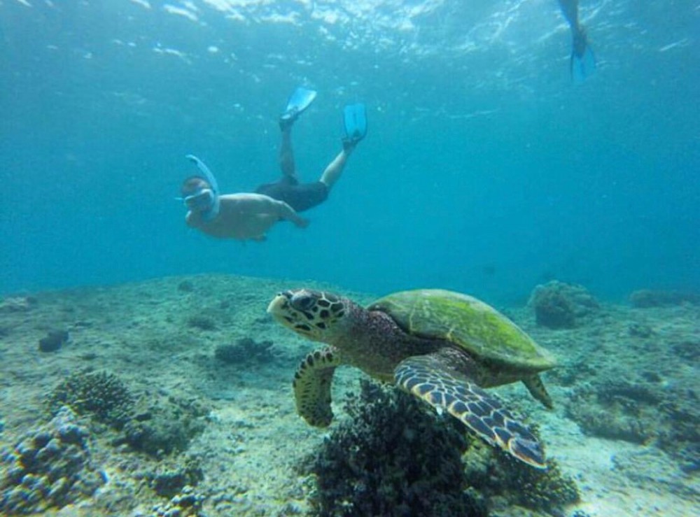 daymaniyat islands snorkeling tour