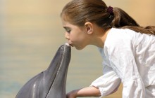 Dolphin Photo Fun at Atlantis with Aquaventure Park Access