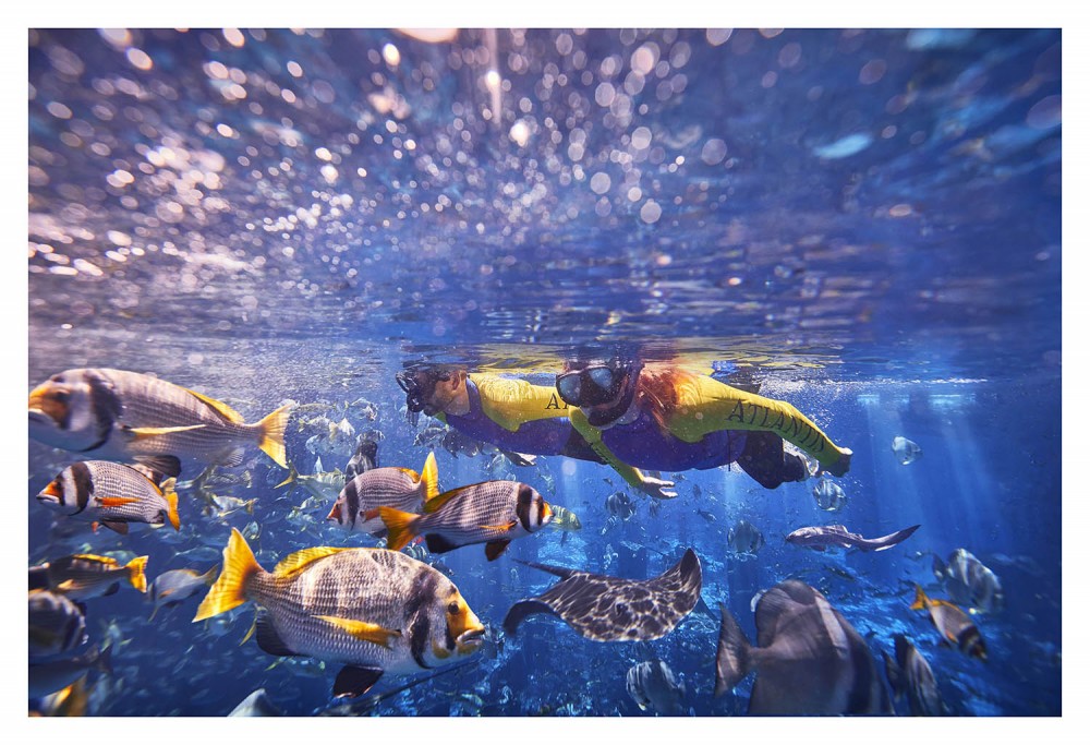Ultimate Snorkel Experience at Dubai Atlantis