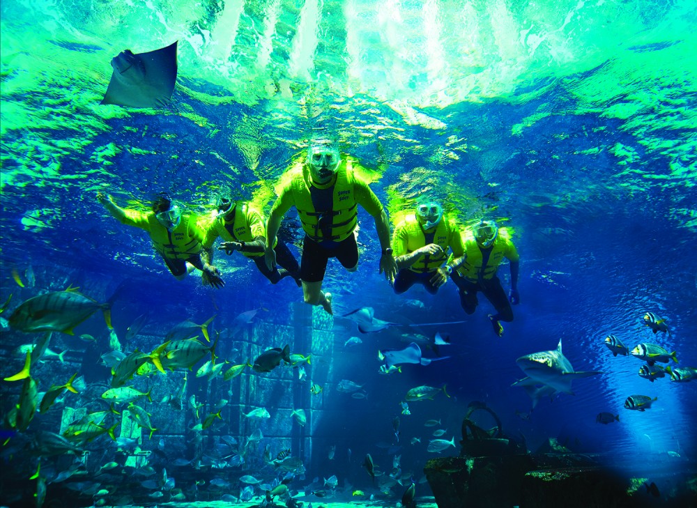Ultimate Snorkel Experience at Dubai Atlantis Dubai Project Expedition
