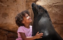 Sea Lion Photo Fun at Atlantis