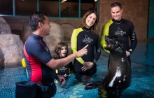Sea Lion Point Experience at Atlantis with Aquaventure Park