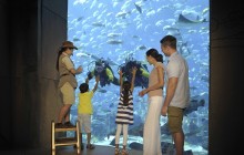 Atlantis The Palm, Dubai4