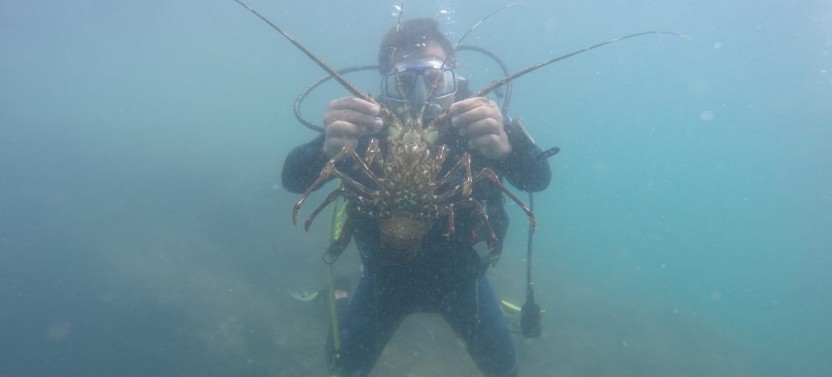 Scuba Diving at Islas Tortuga