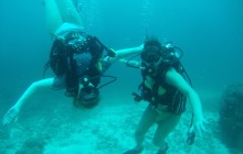 Scuba Diving at Islas Tortuga
