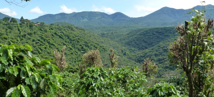 Tour El Salvador: A Mosaic of Culture, History, and Nature (8 Days)