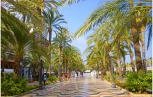 Free Walking Tours Alicante5