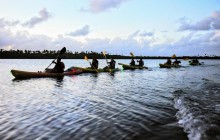 Bio Bay Bioluminescent Kayak Tour