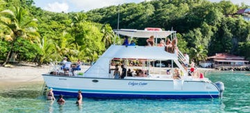 Private 1/2 Day: Snorkeling Along The West Coast from Marigot Bay
