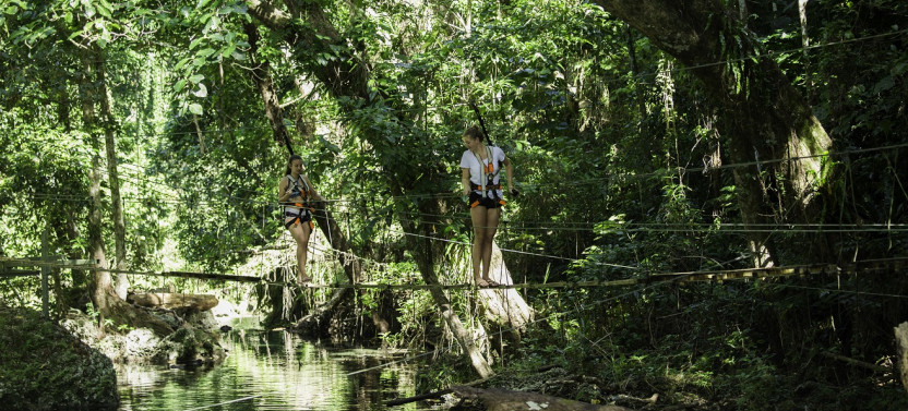 Rainforest River Circuit With Bridges Of Eden + Zipline