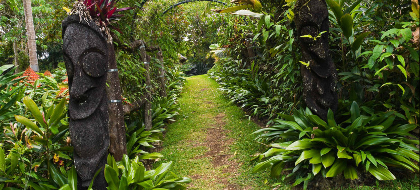 Guided Kava Plantation Tour at Eden on the River