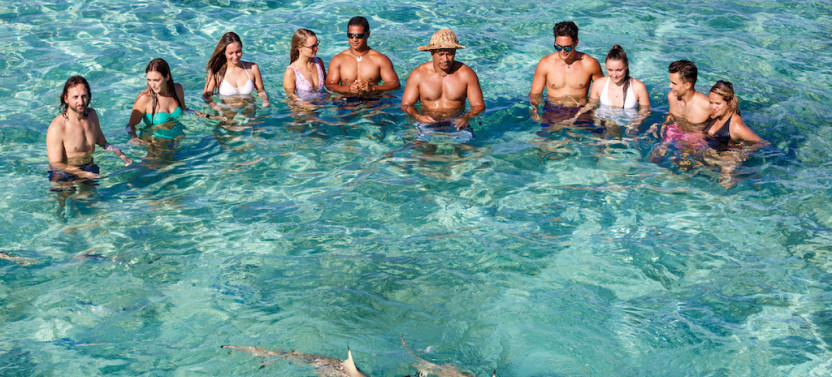 Eco Sharks, Rays & Coral Garden Snorkeling