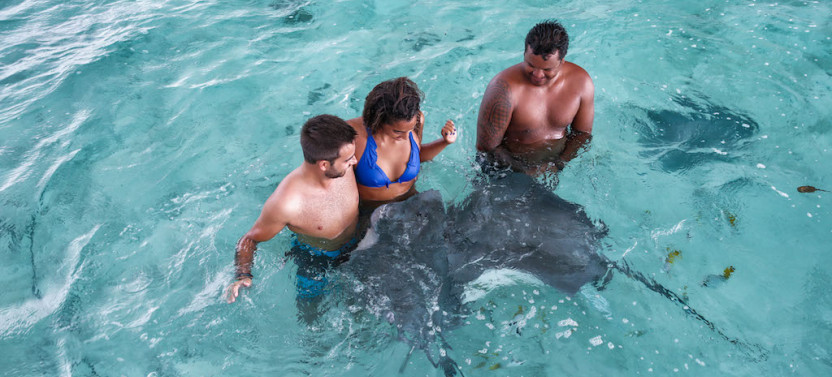 Eco Sharks, Rays & Coral Garden Snorkeling