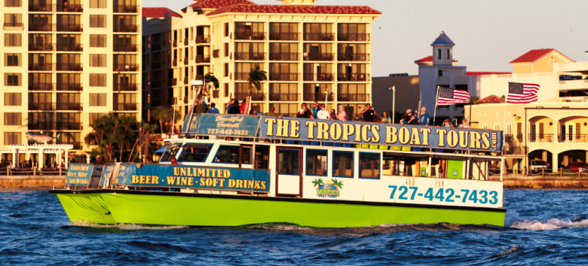 Dolphin Exploration Tour