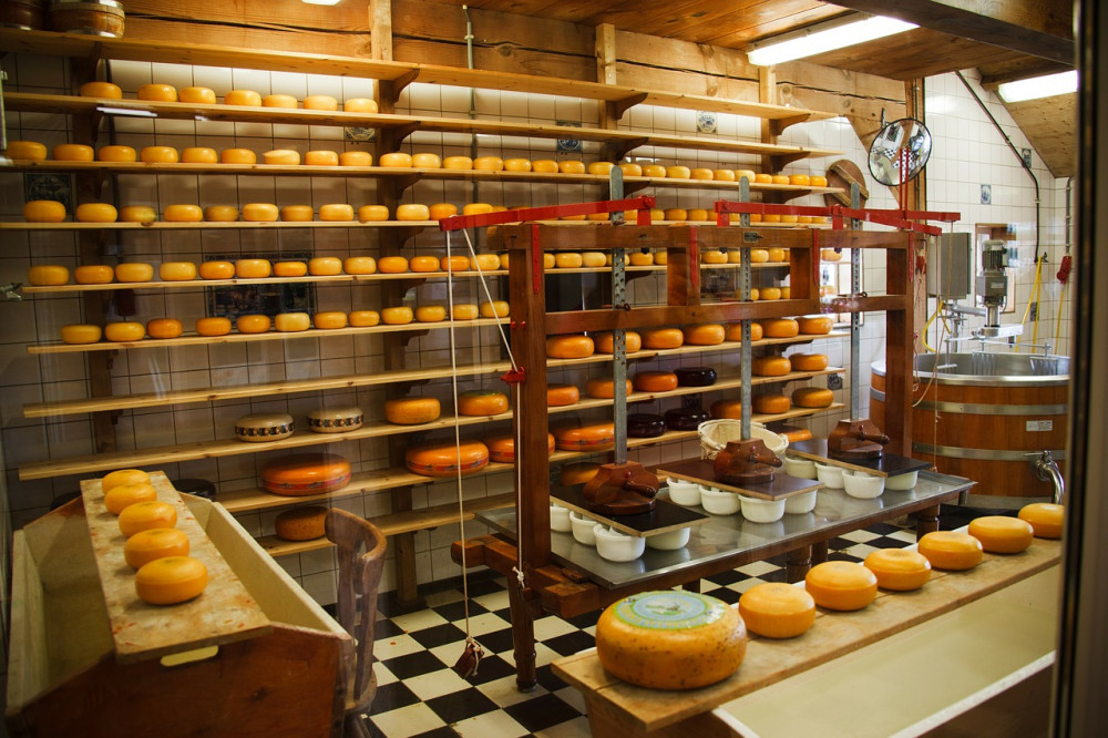 Private Sightseeing Tour Windmills, Cheese, Clogs & Volendam