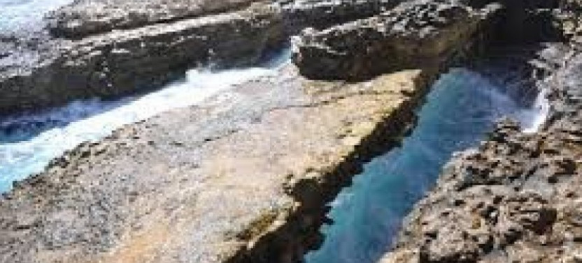 Scenic Full Day Tour of Antigua