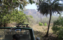 8 Days - Golden Triangle with Ranthambore National Park