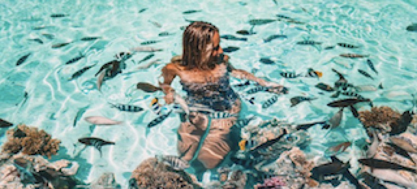 Private Blue Lagoon Cruise