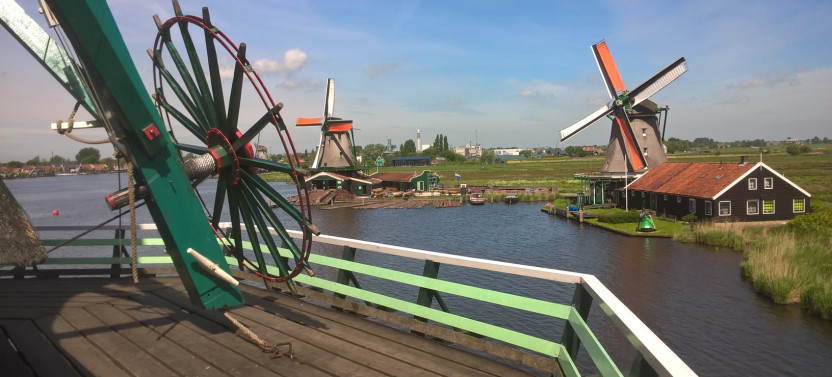 Private Day Tour of Tulips and Windmills with Lunch