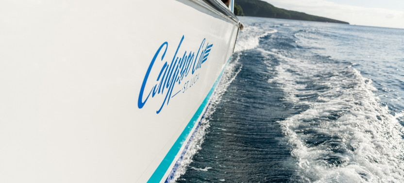 St. Lucia Catamaran Day Tour to Soufriere Shore Excursion